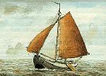 a 49